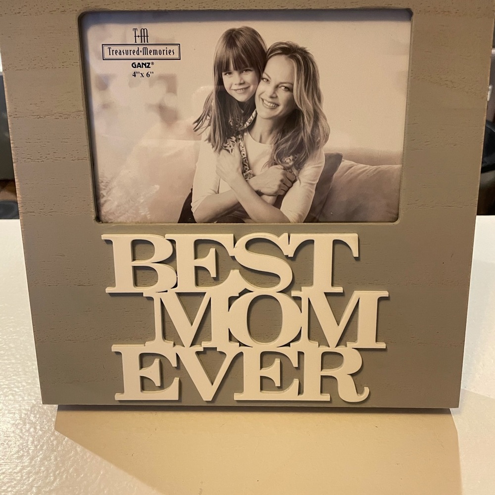 Ganz Picture Frame 4x6. New! Gray and White